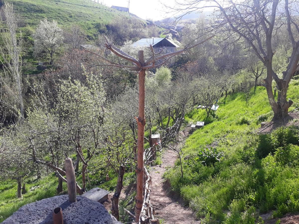 Гостевой дом Aghveran Eco Guest House Tkhit-37