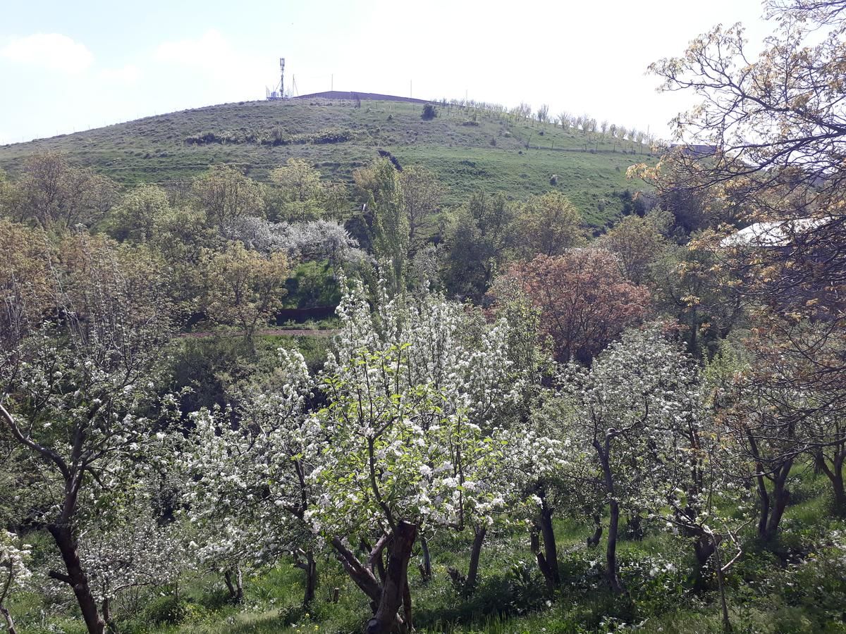 Гостевой дом Aghveran Eco Guest House Tkhit-42